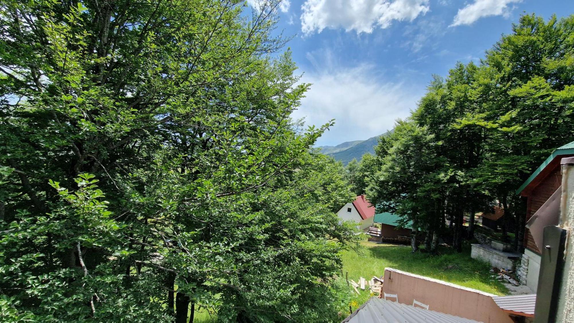 Gorska Vila Apartments Žabljak Habitación foto