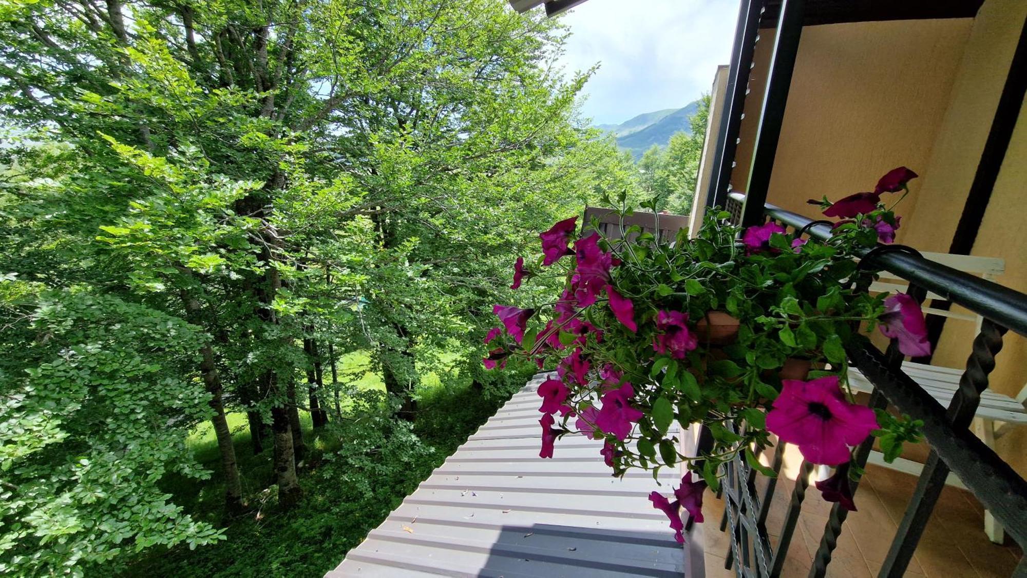 Gorska Vila Apartments Žabljak Habitación foto